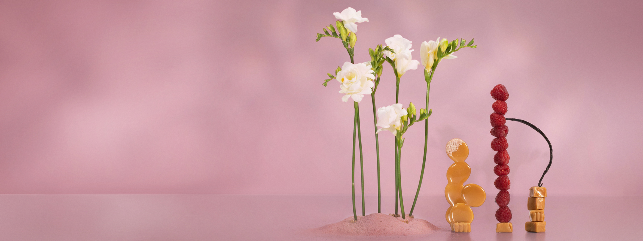 Sugar Berry Fragrance Note Deep Dive