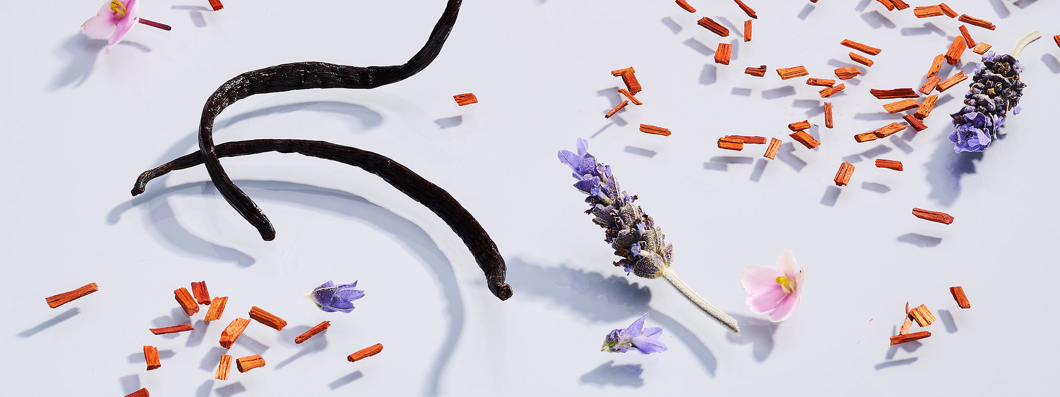 Home Fragrances: Fresh ~ Clean