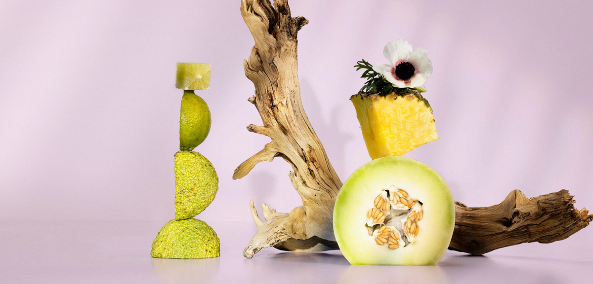 Notea Citrus Good Chemistry Citrus and Fruity Perfumes | Under $30, Clean, Vegan