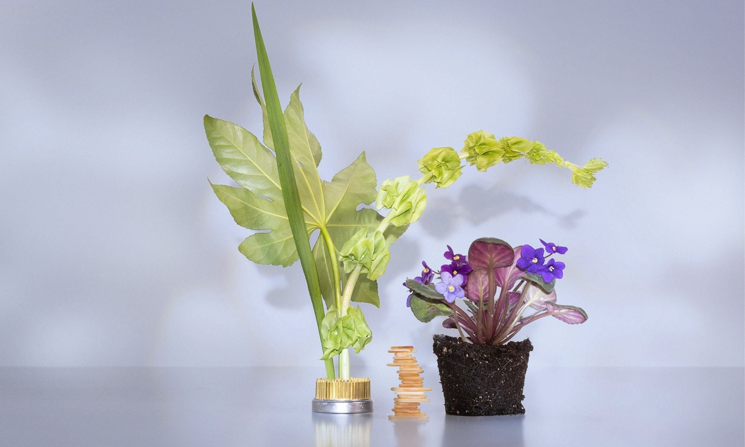 Good Chemistry Magnolia Violet Fragrance