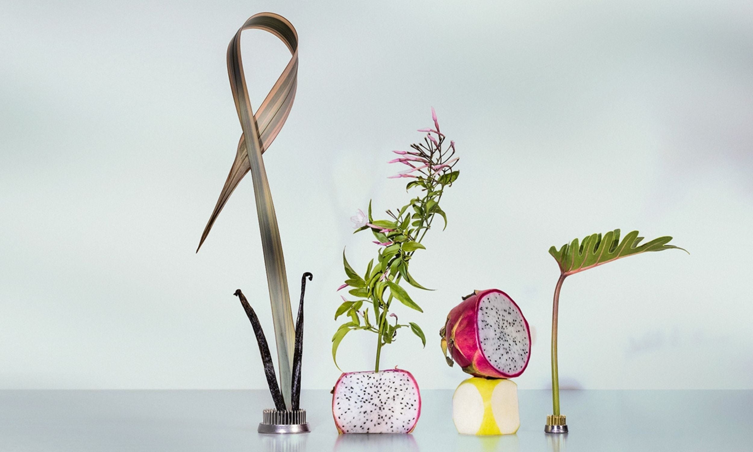 Good Chemistry Pink Palm Fragrance