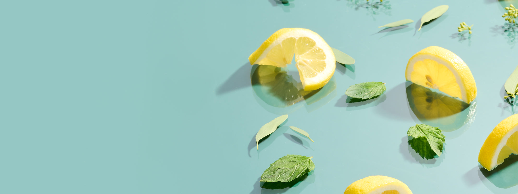 files/2023_gc_home_lifestyle_eucalyptus_bliss_ingredients_15484_EDIT_HORIZONTAL_2160X810_4ff43529-7d21-4571-89f6-5835978cf681.jpg