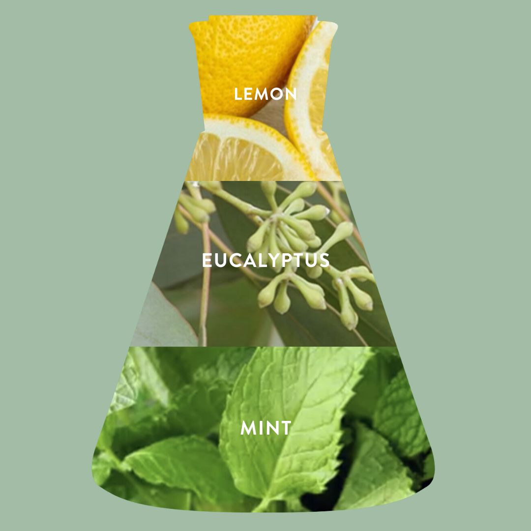 Eucalyptus + Bliss Candle Refill Kit