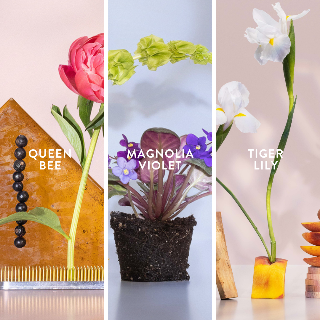 Floral Body Mist Bundle