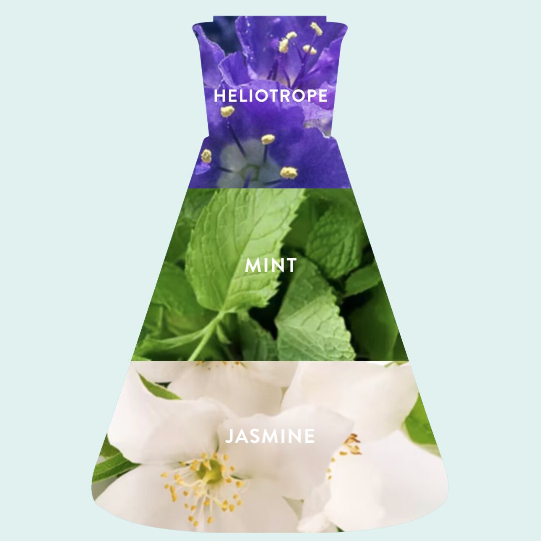 Mint + Lit Reusable Glass Candle