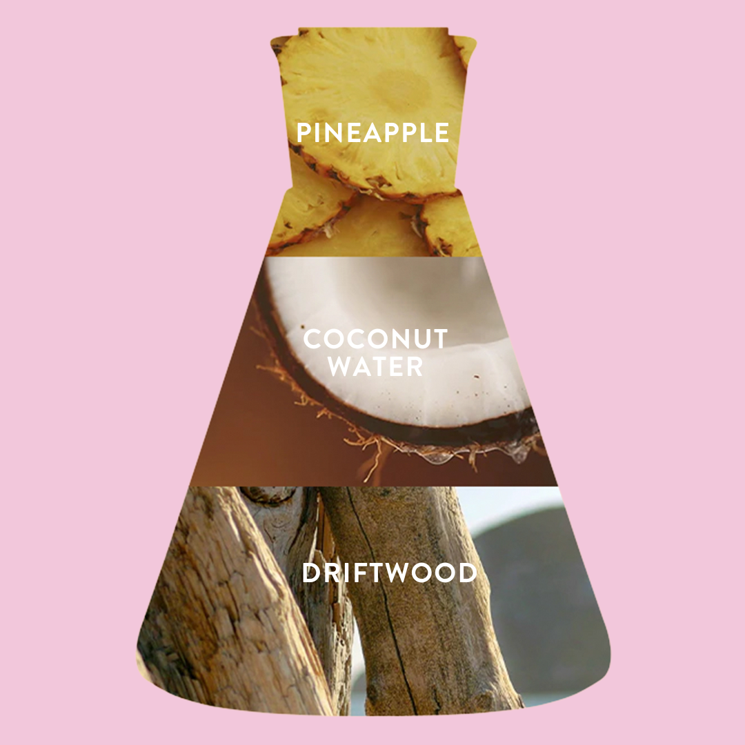 Beaker featuring three images that representing Coco Blush fragrance notes: black currant, peony, and amber.
