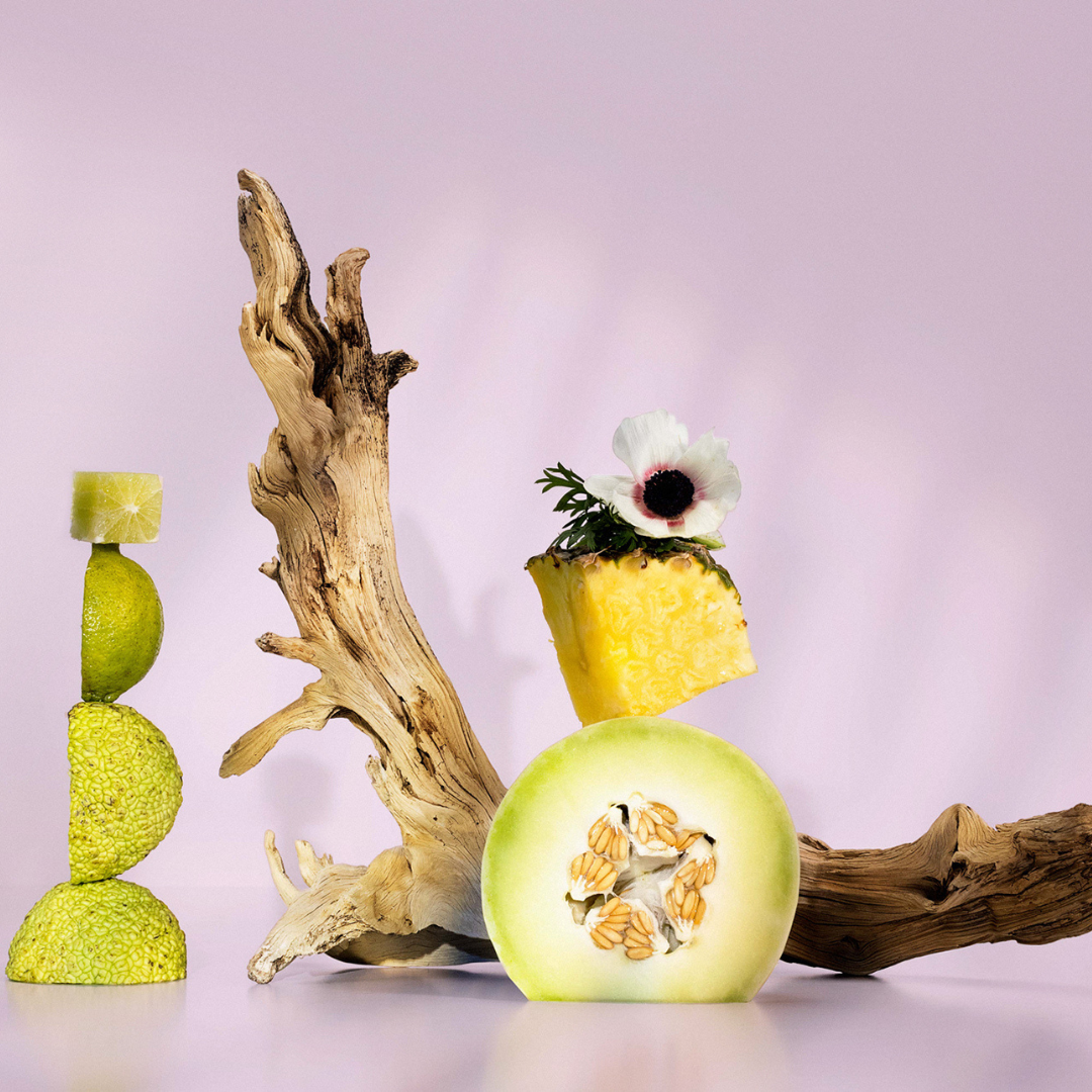Coco Blush ingredients; driftwood, honeydew, magnolia, and pineapple on a lavender background.
