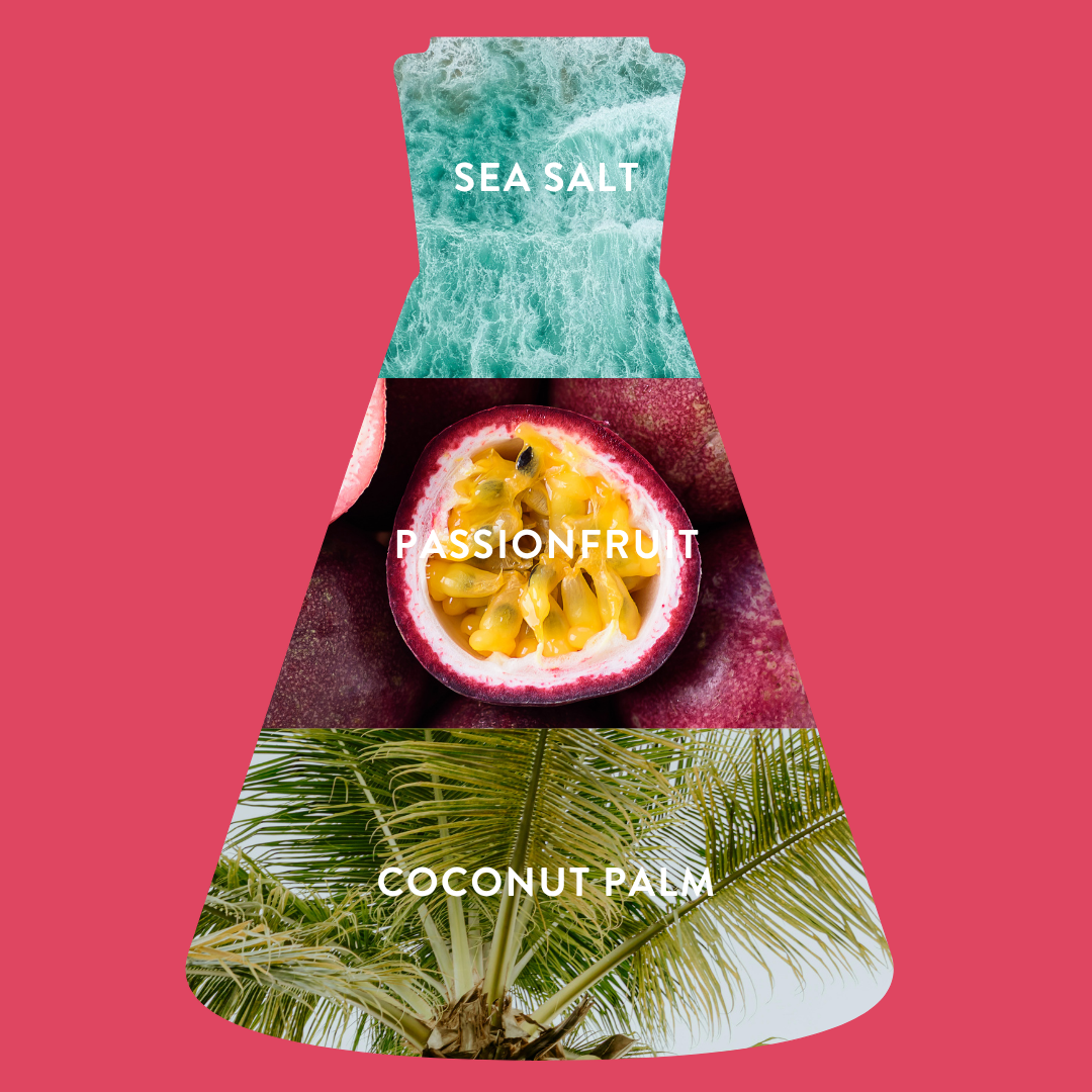 Paradise Spritz indgredient beaker with images of a palm tree, passionfruit, and sea salt on a pink background.
