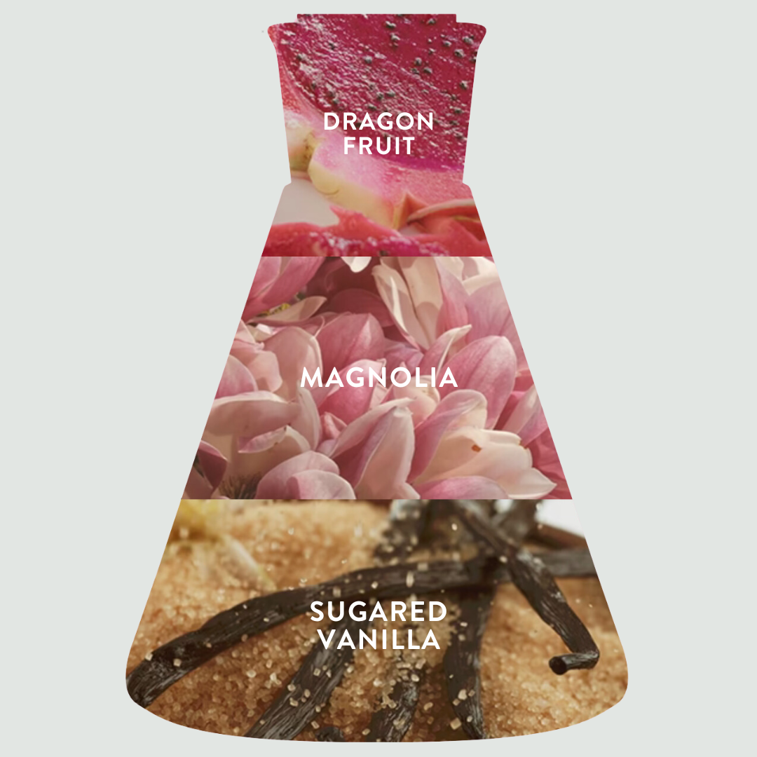 Ingredient beaker shape labeled as dragon fruit, magnolia and sugared vanilla with corresponding images.