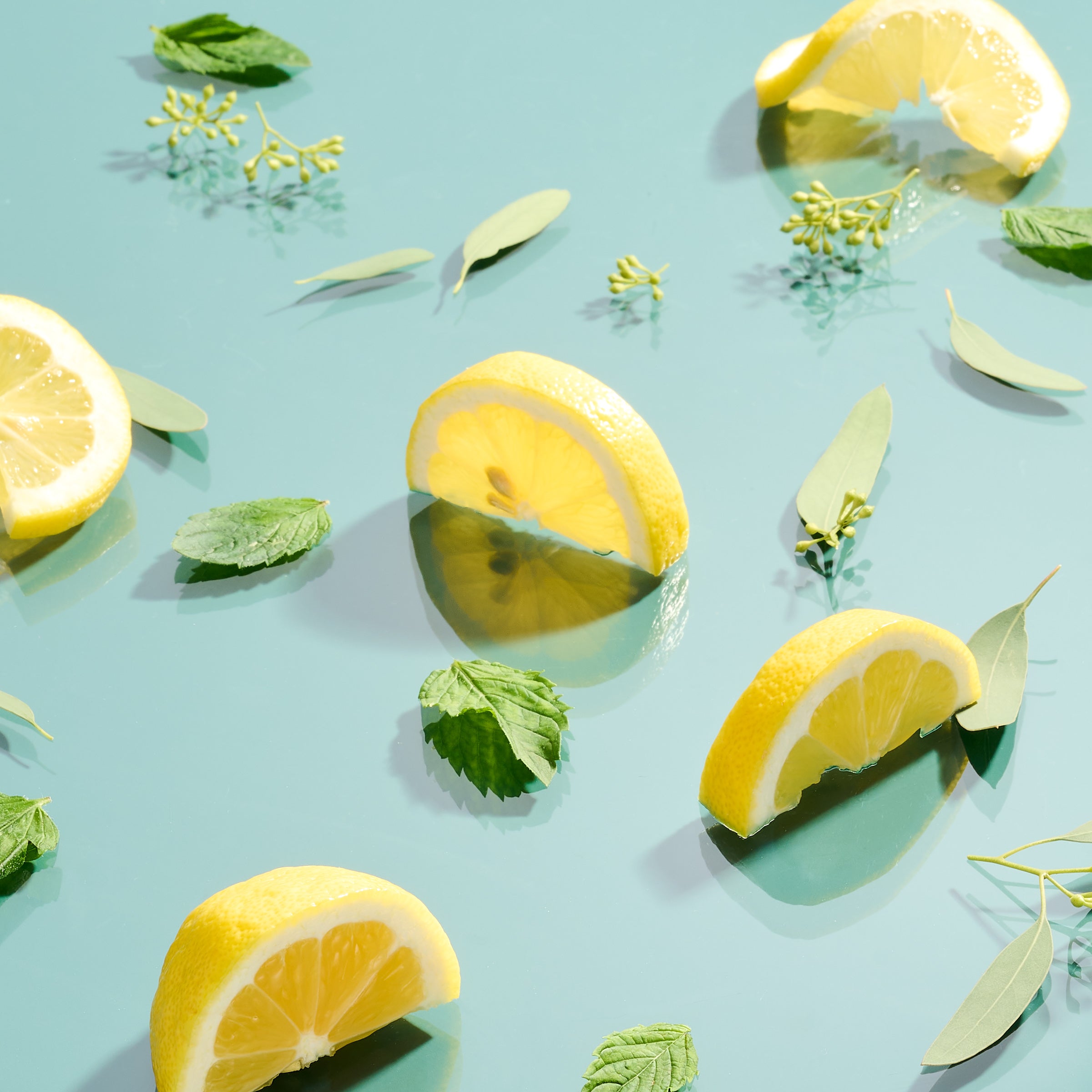 Eucalyptus + Bliss Biodegradable Candle Refill